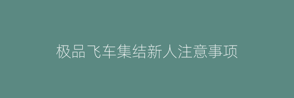 极品飞车集结新人注意事项