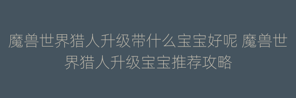 魔兽世界猎人升级带什么宝宝好呢 魔兽世界猎人升级宝宝推荐攻略