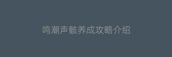 鸣潮声骸养成攻略介绍